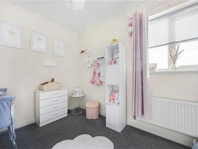 Picture 12